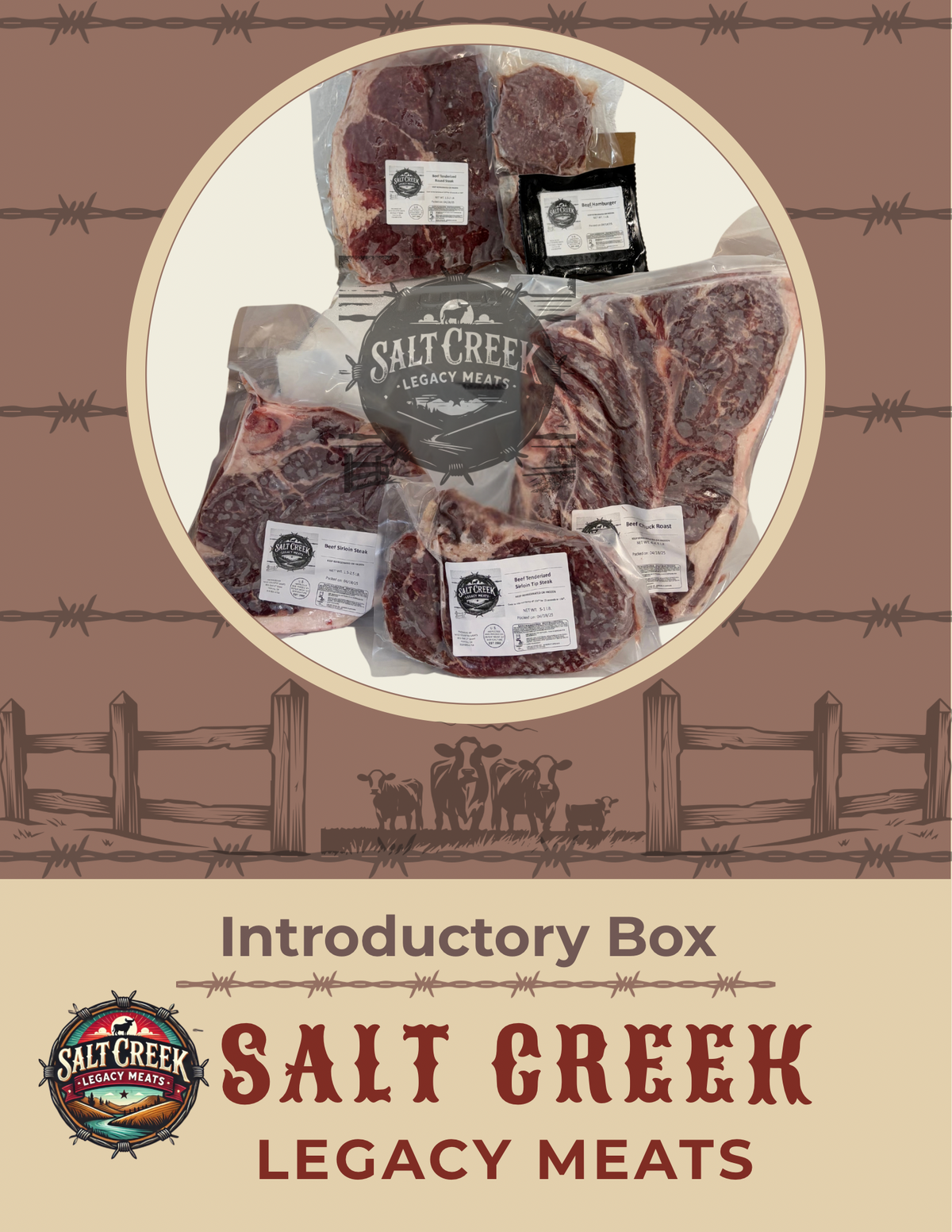 Introductory Box